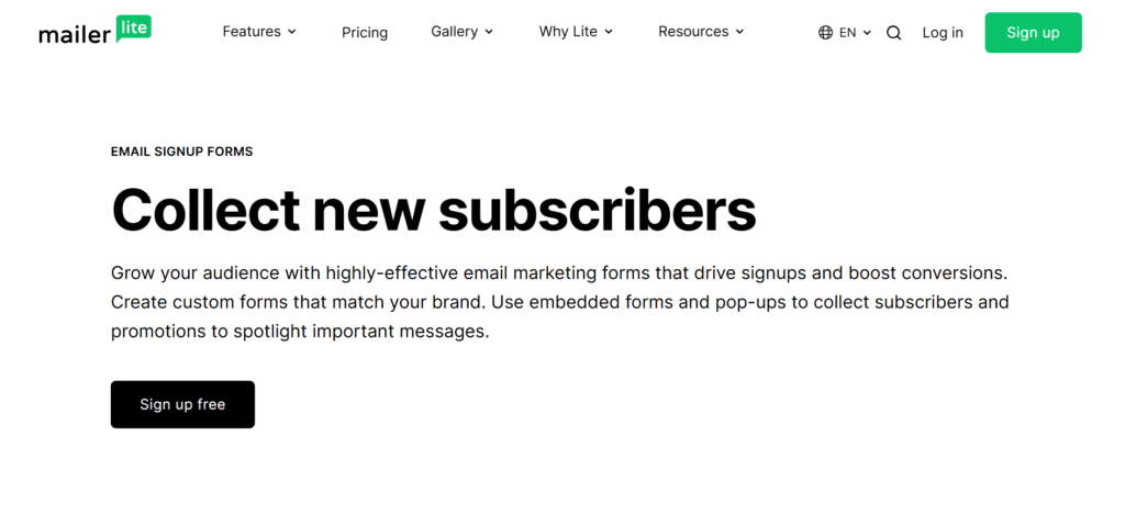 MailerLite sign-up pages or dashboards.